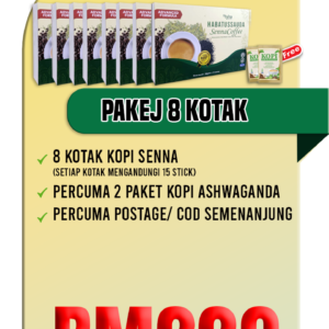 SENNA WEB 8 KOTAK